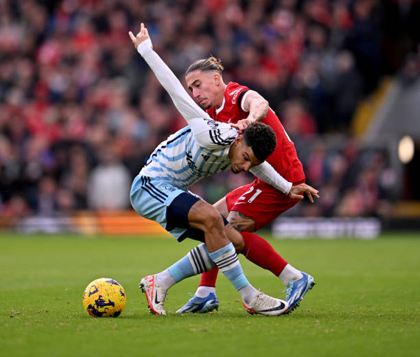 各类国际赛 各类国际赛