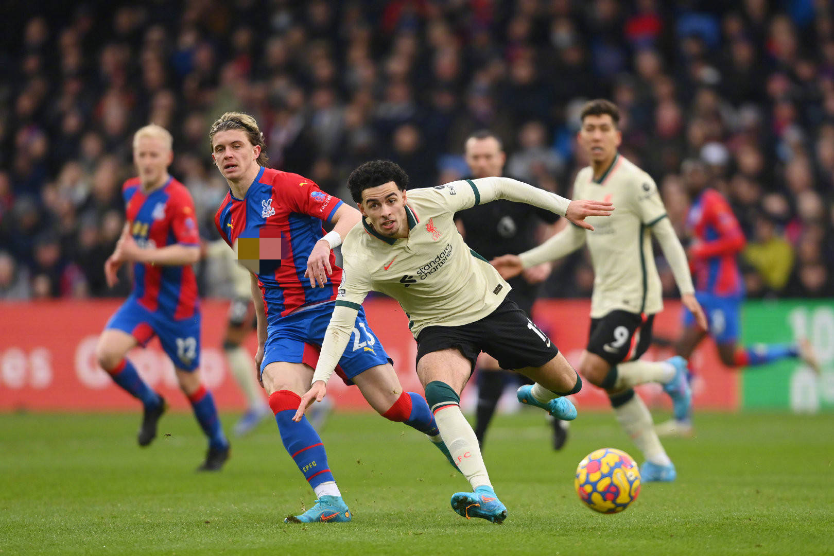 这一连串的 这一连串的