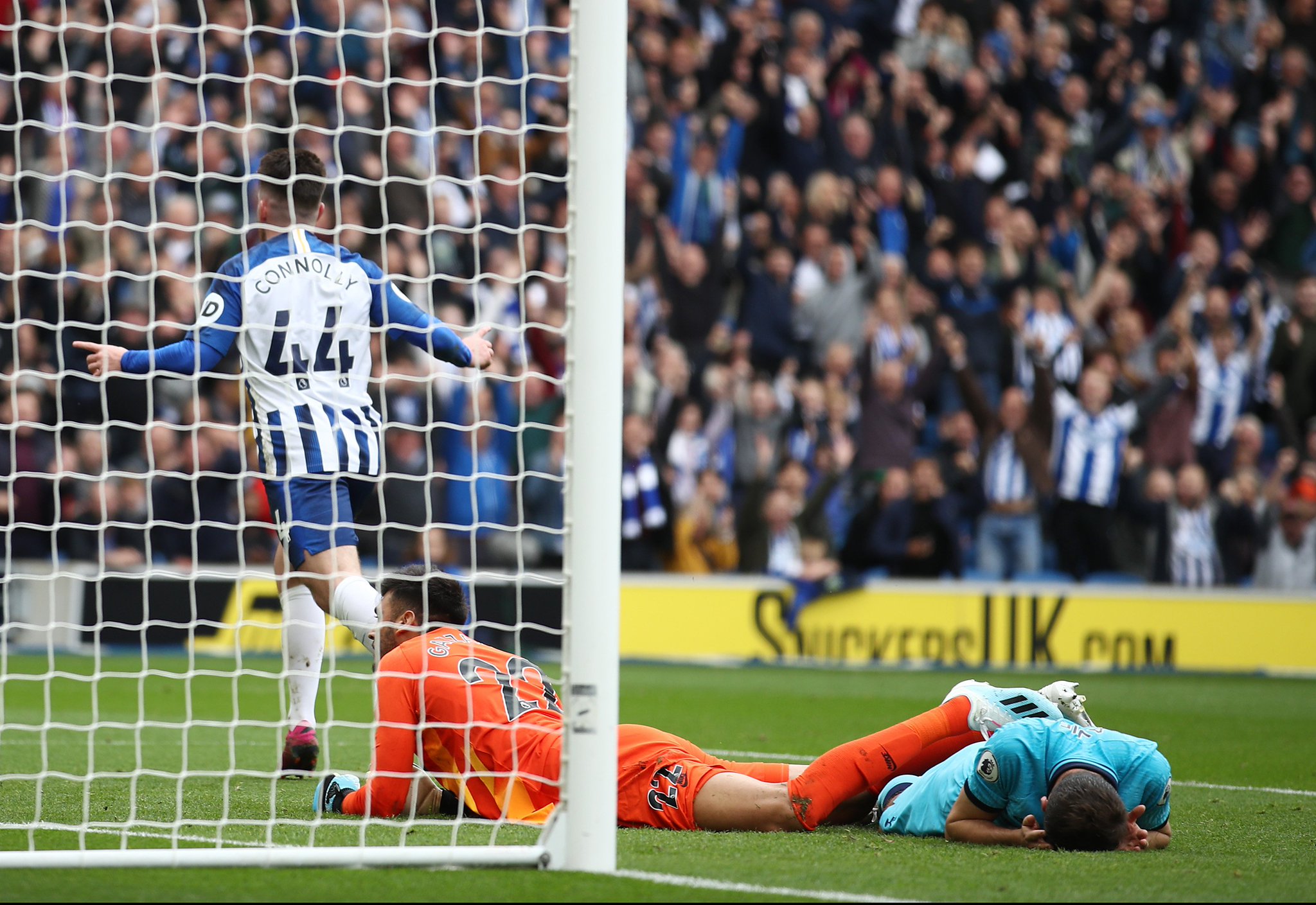 己方阵营 己方阵营